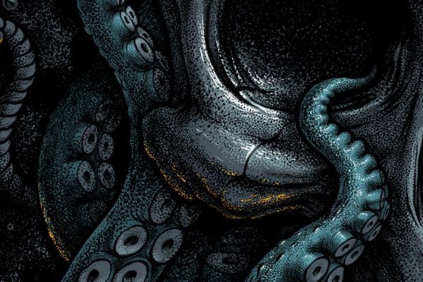 Kraken как найти ссылку