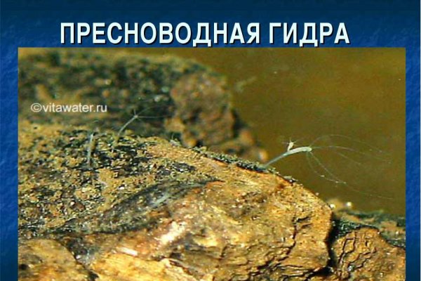 Кракен даркнет рабочая ссылка